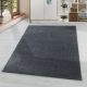 Magazin 4. RIO 4600 GREY 80 X 150 covor
