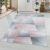 Magazin 13. RIO 4603 ROSE 160 X 230 covor