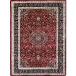 Ber. Anatolia 5858 200X300Cm burgund covor clasic