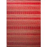  Covor modern Ber. SARAN G001 roșu 60 x 100 cm