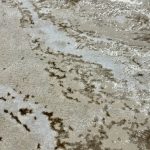  Covor modern Den Sunset 0839 Bej 60x110cm