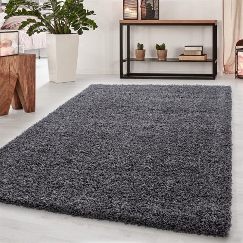 Ay dream 4000 gri 200x290cm monocolor shaggy covor