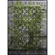 Ber Jawa 5128 Gri-Verde 140x190cm covor