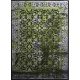 Ber Jawa 5128 Gri-Verde 80x150cm covor