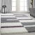 Ay gala 2505 violet 60x110cm - shaggy covor ieftin