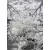  Ber Zara 9662 gri 140x190cm covor modern exclusivist
