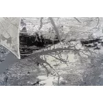  Ber Zara 9662 gri 140x190cm covor modern exclusivist