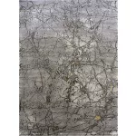 Ber Elite 4355 gri-aur 120x180cm covor