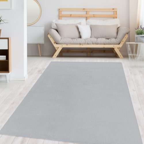  Magazin 1. Ay. Covor CATWALK 2600 SILVER 120x160