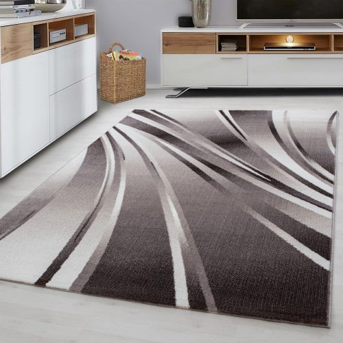  Magazin 1. Ay. parma 9210 maro 120x170cm covor modern la reducere