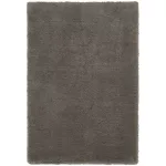 ASY Lulu Soft Touch Rug 120x170cm Smoke covor