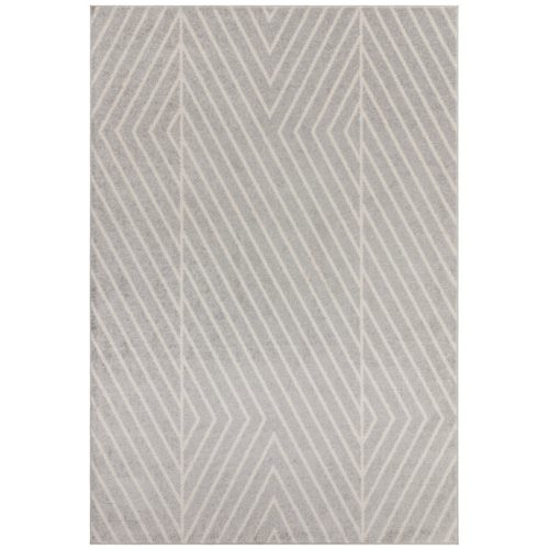  Covor ASY Muse 160x230cm Gri Linear Rug MU09