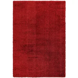 ASY Payton 120x170cm Red covor