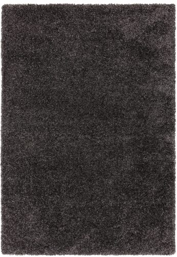 ASY Ritchie 080x150cm Charcoal Rug covor