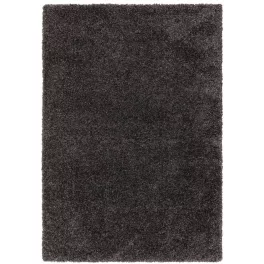 ASY Ritchie 120x170cm Charcoal Rug covor