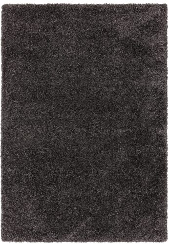 ASY Ritchie 120x170cm Charcoal Rug covor