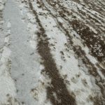  Den Sunset 0838 Bej 160x230cm covor modern