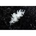 Covor FLUFFY 2370 shaggy - antracit / alb 120x170 cm