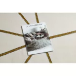 Covor EMERALD 1013 elegant, Figuri geometrice, crem / auriu 200x290 cm