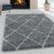 ALVOR 3401 gri 240 X 340 covor