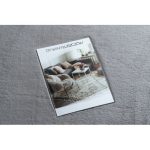 Covor BUNNY argint 60x100 cm