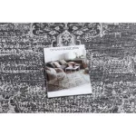 Țesut Sizal covor LOFT 21213 Decor Gri / argint / fildeș  80x150 cm