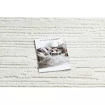 Covor SEVILLA AC53B dungi, alb franjuri Berber shaggy 120x170 cm