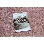 BERBER 9000 roz covor shaggy cu franjuri 200x290 cm