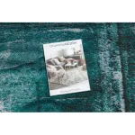 Modern DE LUXE 634 Chenar vintage - Structural verde / antracit 180x270 cm covor