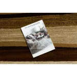  Covor regal 5374 Wave - bej / maro 100x200 cm