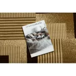  Covor regal G2069 Geometric, linii - crem 100x200 cm