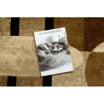  Kab. Covor regal 5376 Geometric, cercuri - bej / crem 200x290 cm