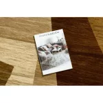  Covor regal G2095 Geometric - bej / maro 250x350 cm