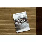  Kab. Covor Royal FB23 Frame - bej / crem 300x400 cm