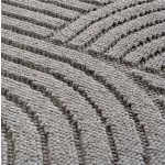 Ay. Helix covor modern 60 x 110 cm 2201 argintiu