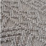 Ay. Helix covor modern 60 x 110 cm 2202 argintiu