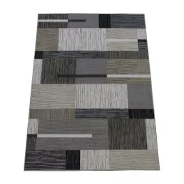  Covor Ber. LOTUS 9303 bej 240 x 330 cm