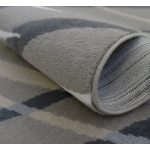  Covor Ber. LOTUS 9304 bej 60 x 90 cm