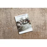  Covor NAIN Ornament vintage 7699/51655 bej / maro 80x150 cm