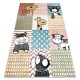  Covor FUN Animale de companie pentru copii, animale colorate 240x330 cm
