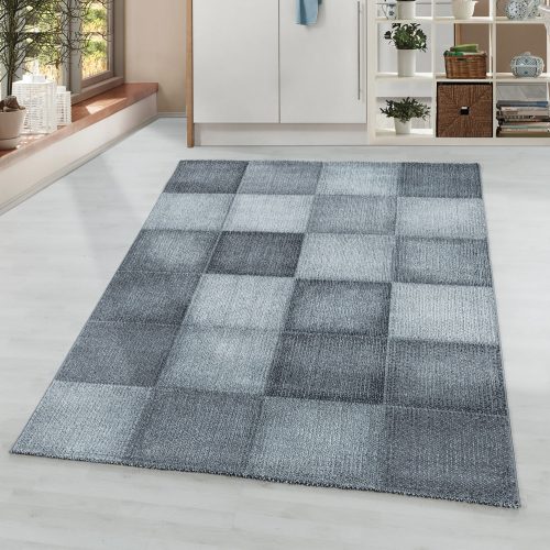 OTTAWA 4202 gri 80 x 250 covor