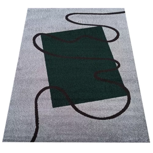  Covor Dy. Otto 08 gri-verde 160 x 220 cm