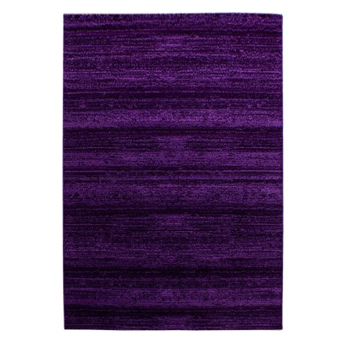  Ay. Covor modern violet PLUS 8000 240 x 340 cm