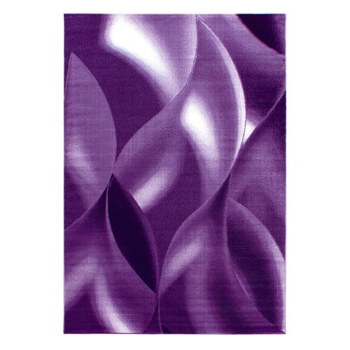  Ay. PLUS 8008 Covor modern violet 240 x 340 cm