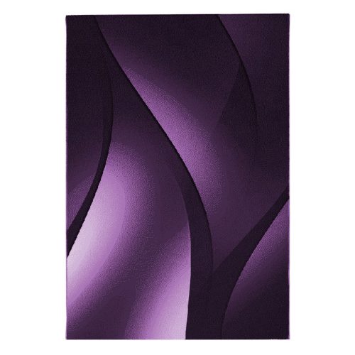  Ay. PLUS 8010 Covor modern violet 240 x 340 cm