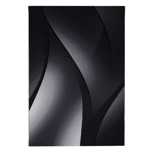  Ay. PLUS 8010 280 x 370 cm Covor modern negru