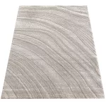  Covor Dy. Serenity 02 bej 80 x 150 cm