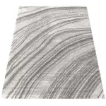  Covor Dy. Serenity 02 gri 120 x 170 cm
