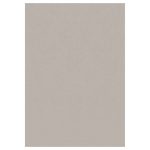 SKY_5400_BEIGE_140 X 200 covor