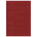 SKY_5400_RED_200 X 290 covor